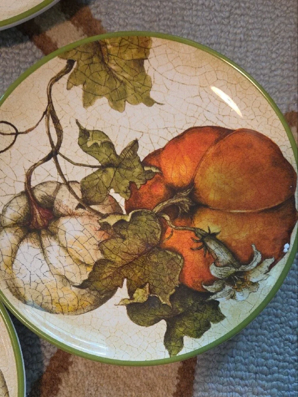 Pier 1 Harvest Garden Decorative Plates - Set of 6 - Orange & Green